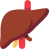 liver